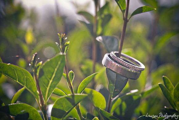 Such a perfect day! Photography by Lawson Photography...
