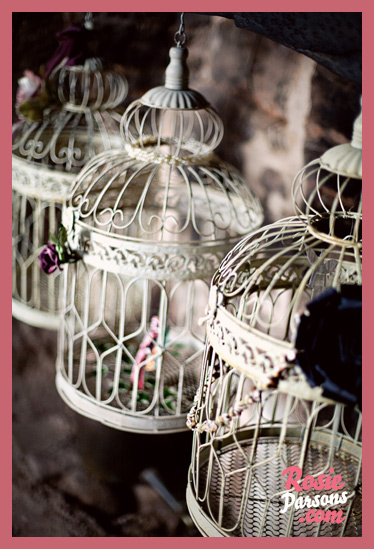 Vintage bird cages used to decorate the venue...