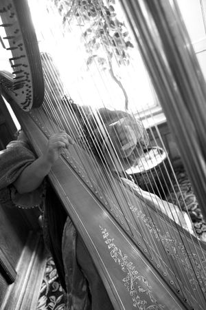 Harpist...