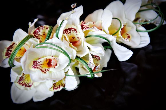 Cymbidium Orchids...
