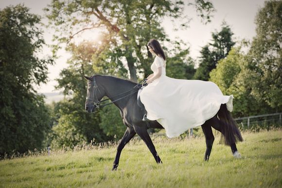 Cherish The Horse? ~ A Post-Wedding Photoshoot With a Difference...