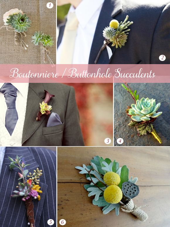 Succulent Boutonnierre and Buttonhold Inspiration Board