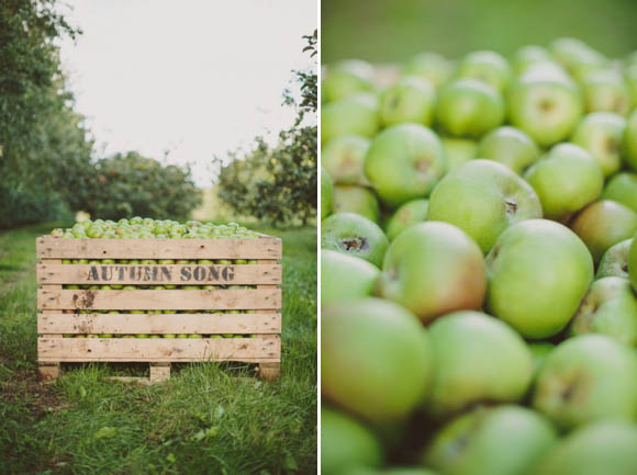 Apple orchard wedding in Ireland