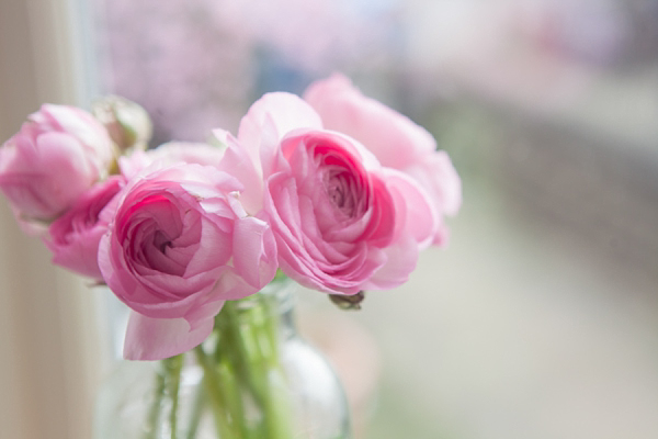 Ranunculus floral crown spring wedding flowers  Cat Hepple Photography