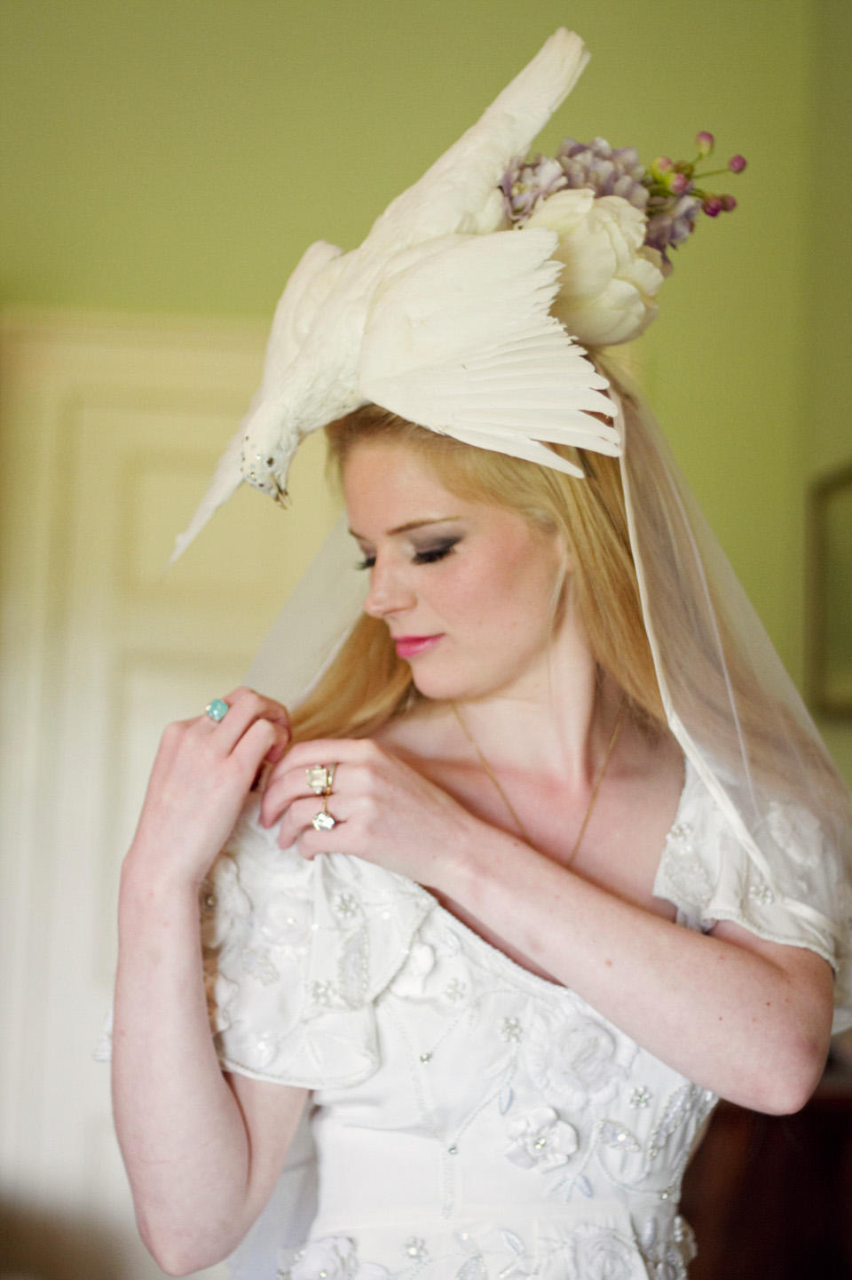 taxidermy headpiece, taxidermy wedding, emmy shoes, taxidermy dove, mole and dove, quirky wedding